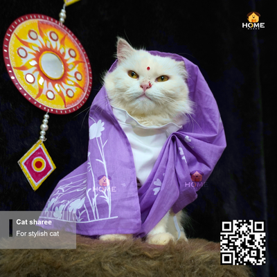 cat sharee_img_8