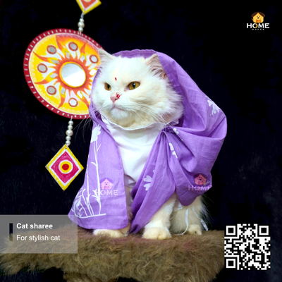 cat sharee_img_11