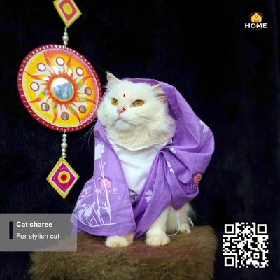 cat sharee_img_12