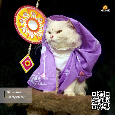 cat sharee_img_16