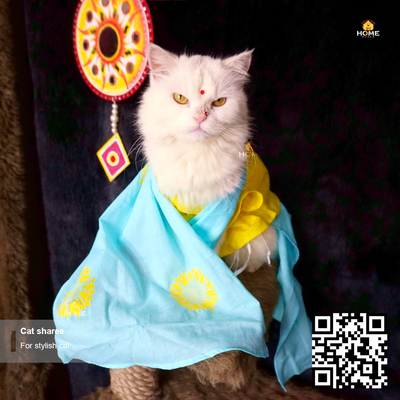 cat sharee_img_2