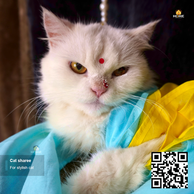 cat sharee_img_5