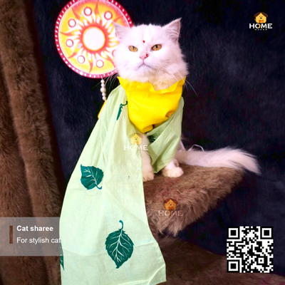 Cat sharee_img_0
