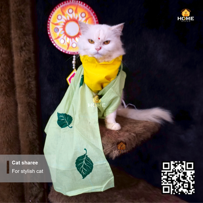 Cat sharee_img_1