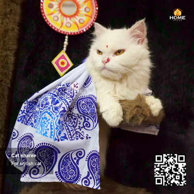 Cat sharee_img_1