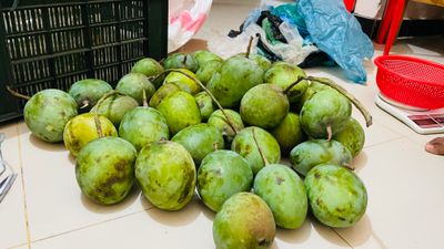 সাতক্ষীরার গোবিন্দভোগ আম (Gobindovog Mango)_img_7