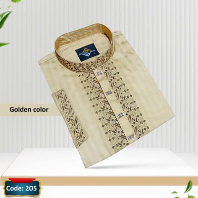 Premium panjabi_img_1