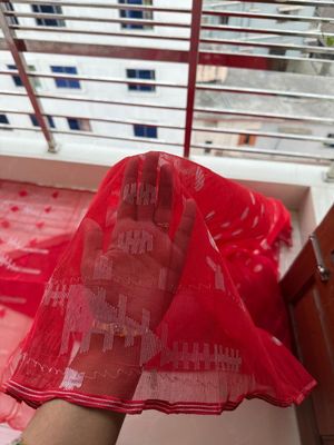 Red Rose🌹_img_16