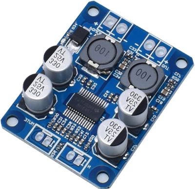 TPA 3118 (28 Pin IC) Mono Amplifier ( 30 Watt)_img_0
