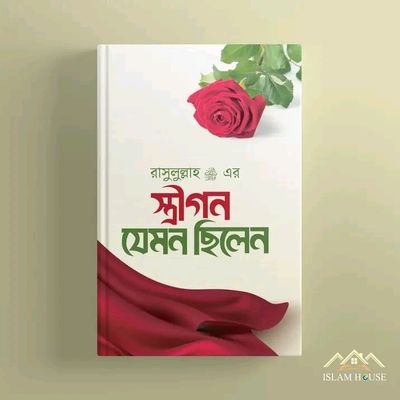 রাসূল ﷺ এর স্ত্রীগন যেমন ছিলেন_img_0