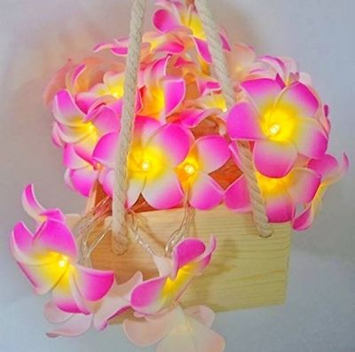 Kat Golap string light / wood rose fairy light_img_1