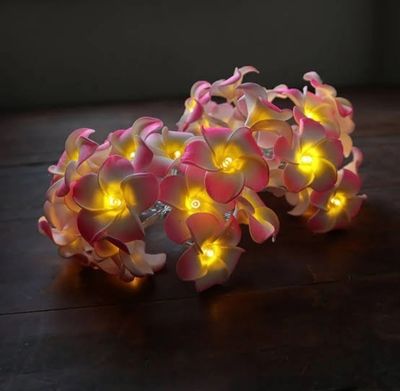 Kat Golap string light / wood rose fairy light_img_2