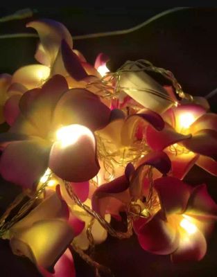 Kat Golap string light / wood rose fairy light_img_3