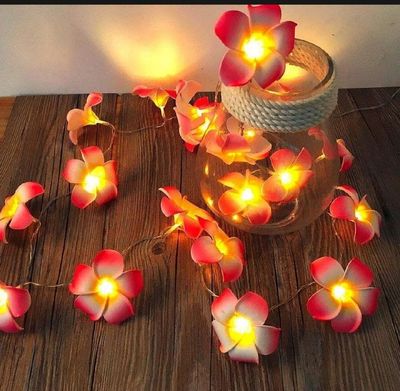 Kat Golap string light / wood rose fairy light_img_5