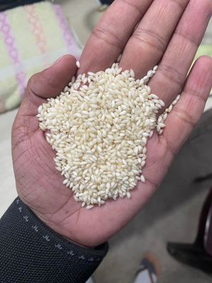 সুগন্ধি রাতাবোরো চাল ২৫ কেজি_img_6