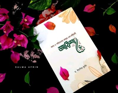 জ্ঞান ও পবিত্রার ভাস্কর এক মহীয়সী আয়েশা_img_0