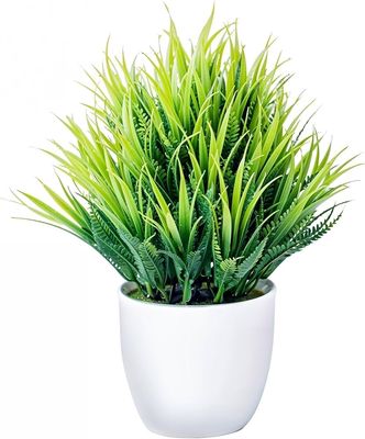 Artificial Eucalyptus Potted Plant, Desktop Decoration,Home Decoration, Indoor And Outdoor Decoration FREE Gift with purchase_img_0