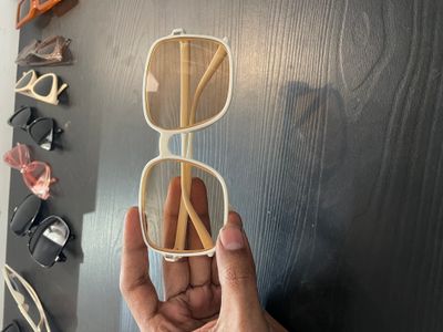 Big Glass Sunglasses_img_1