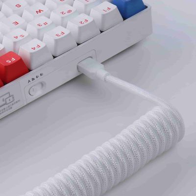 Non-Aviator Braided Coiled Type-C Cable_img_6