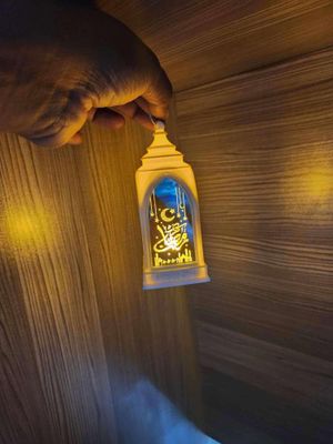 Romdan light_img_1
