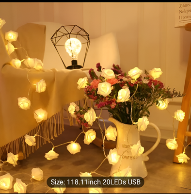 Home Decor LED Light_img_0