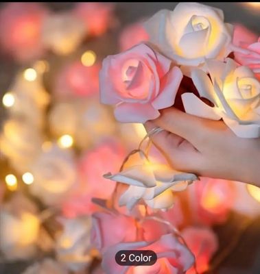 Home Decor LED Light_img_1