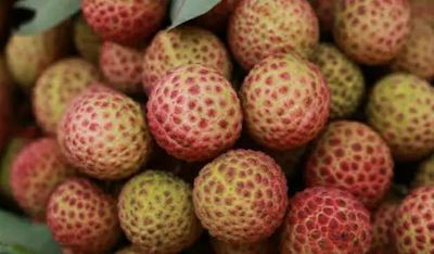 বেদানা লিচু🍒 ১০০পিস_img_4