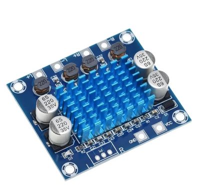 TPA 3110 Amplifier Circuit_img_1