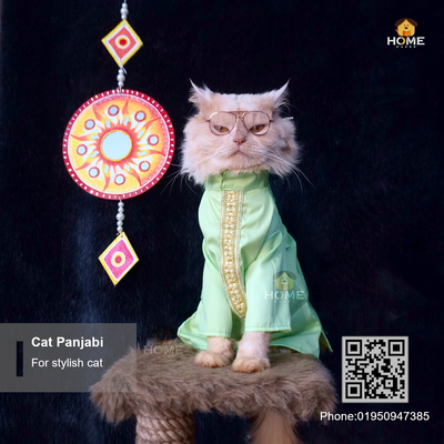 cat panjabi (custome)_img_0