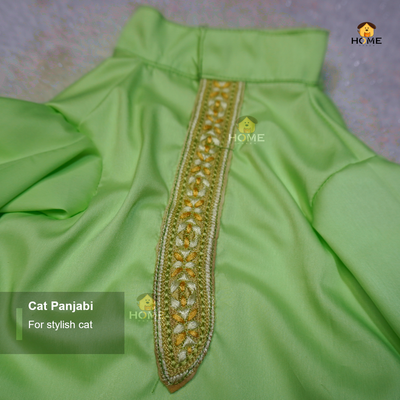 cat panjabi (custome)_img_2