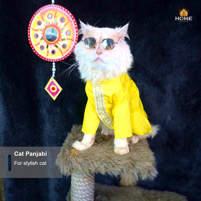 cat panjabi (custome)_img_0