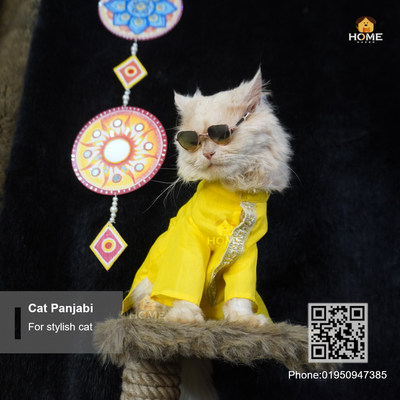 cat panjabi (custome)_img_2