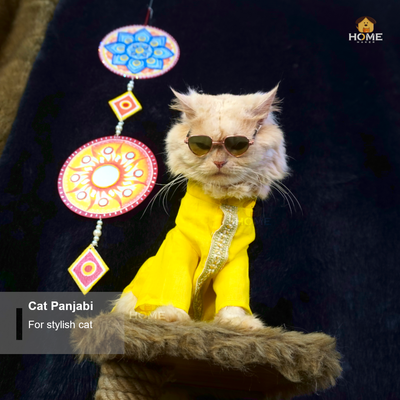 cat panjabi (custome)_img_3
