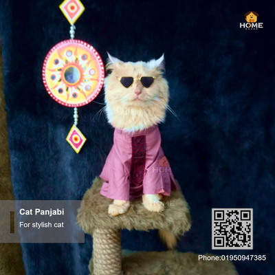 cat panjabi (custome)_img_0