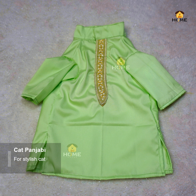 cat panjabi_img_1