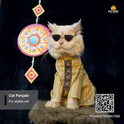 cat panjabi (2.5,4,6 kg)_img_0