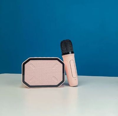 P3 Portable Karaoke Speaker Kits_img_0
