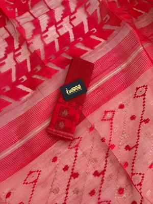 লাল গোলাপ 🌹_img_8