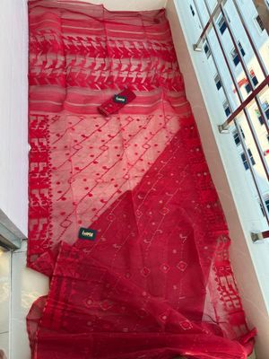 লাল গোলাপ 🌹_img_10