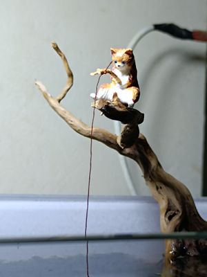 Naughty fishing cat_img_3