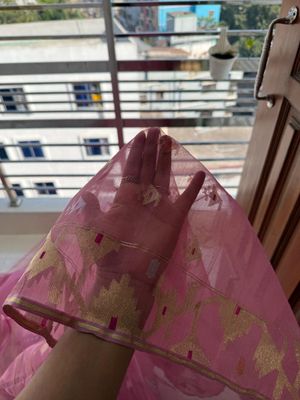 Onion pink  🧅_img_2