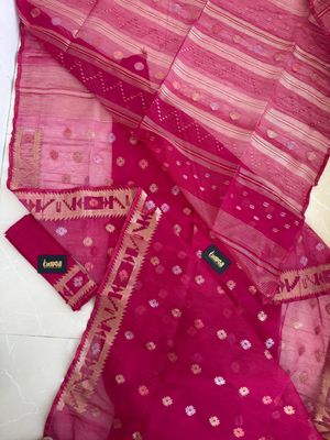 রাণী গোলাপি 🌺_img_1