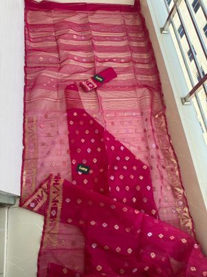 রাণী গোলাপি 🌺_img_6
