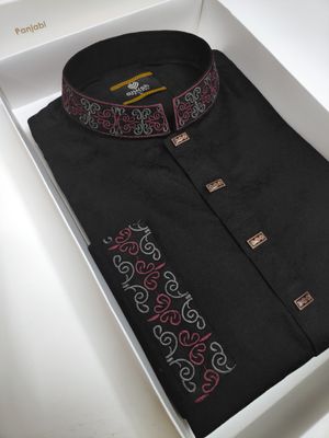 Premium Majesty Embroidery Panjabi_img_1