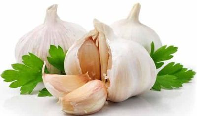 ইন্ডিয়ান রসুন_img_1