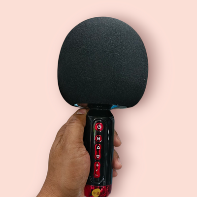 C 300- Karaoke microphone_img_0
