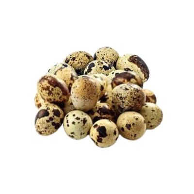 Quail Eggsকোয়েলের ডিম_img_0