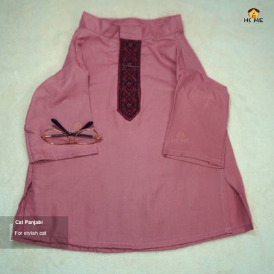cat panjabi_img_0