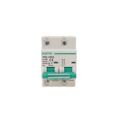 125A DP DC MCB – Heavy Duty Battery Breaker for Solar & Inverter Systems_img_2