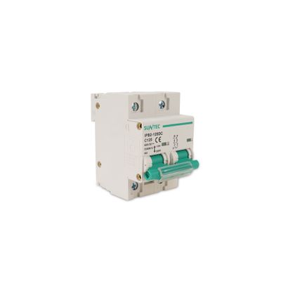 125A DP DC MCB – Heavy Duty Battery Breaker for Solar & Inverter Systems_img_3